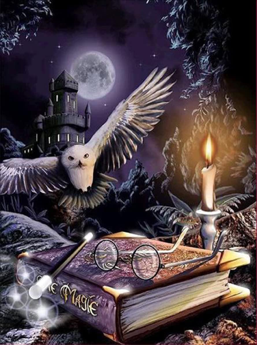 NAIMOER Diamond Painting Kit Completo, Pintura de Diamantes Punto de Cruz Diamante Bordado de Diamantes de Imitación para decoración de la Pared del hogar 30x40 cm