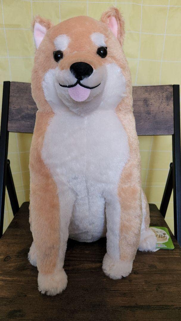 Amazon.co.jp: ほっこり柴犬 茶々ノ助 BIG ぬいぐるみ : おもちゃ