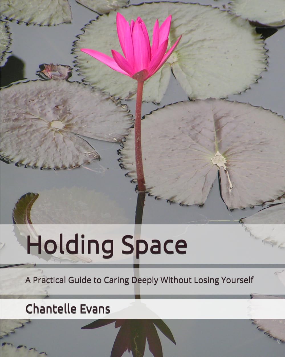 Holding Space: A Practical Guide to Caring Deeply Without Losing Yourself