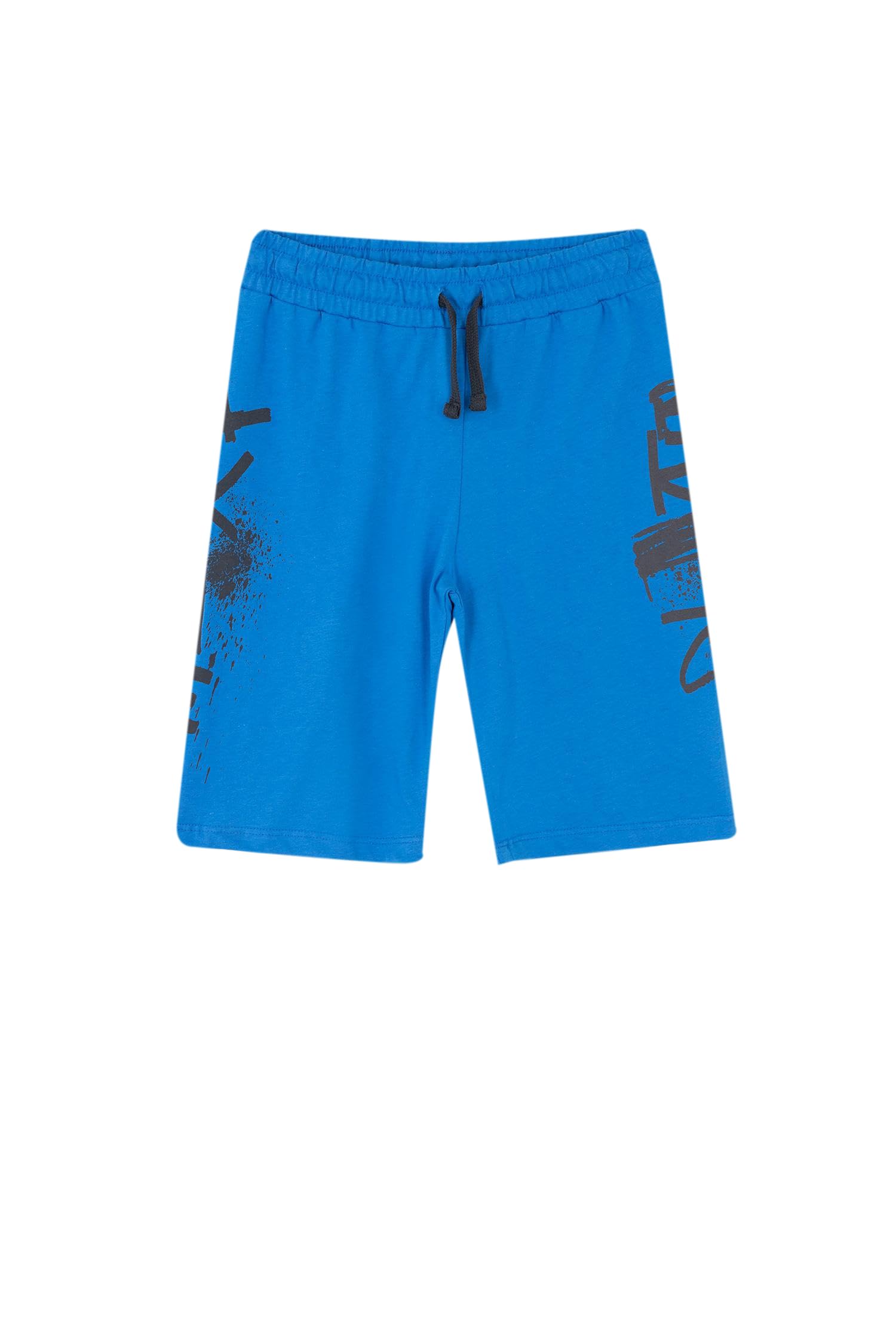Erkek Çocuk Erkek Çocuk Regular Fit Penye Şort