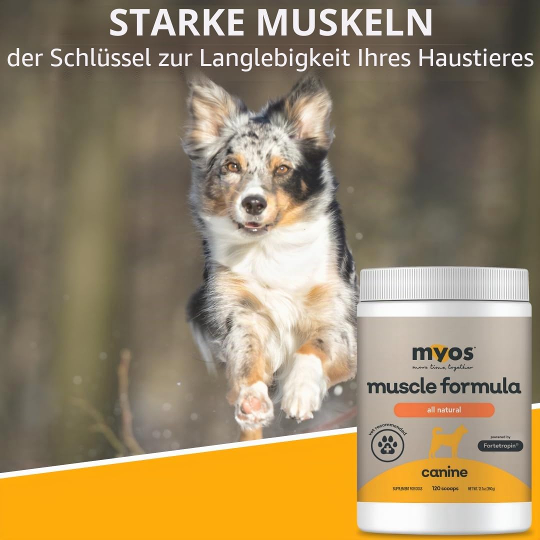 MYOS Canine Muscle Formula - All-Natural Muskelaufbau Supplement - Hilft Muskelverlust bei Hunden durch normales Altern zu reduzieren und verbessert die Erholung nach Verletzungen oder Operationen