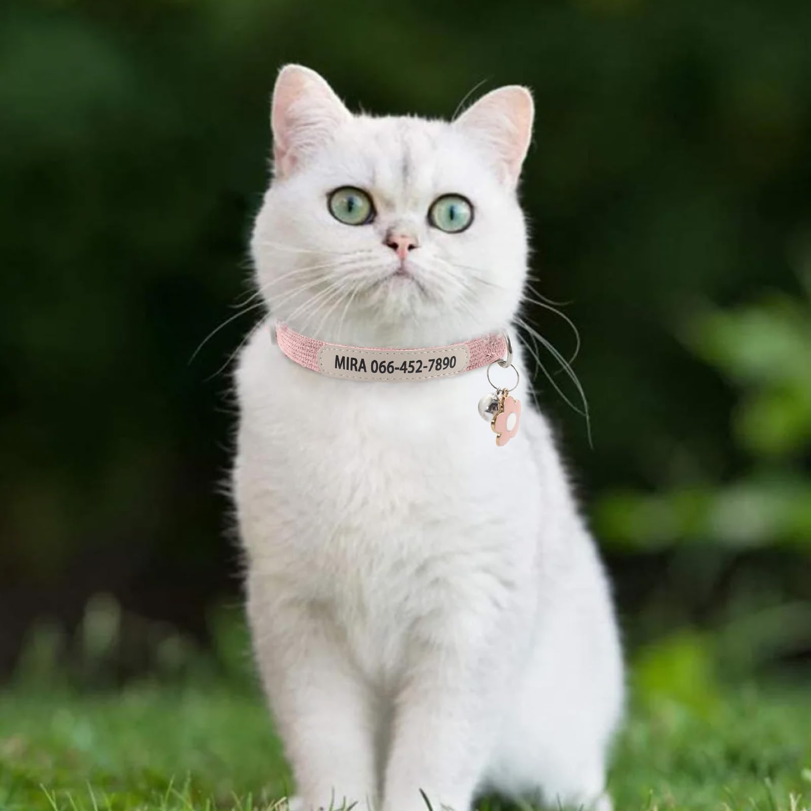 Collare per gatti personalizzato con stampa UV nome e numero di telefono – Collare regolabile per animali domestici con campana