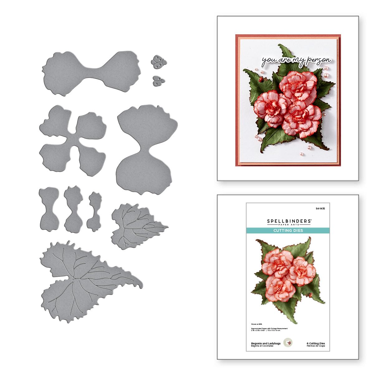 Spellbinders Begonia and Ladybugs Etched Dies from The Summer Solstice Garden Collection by Susan Tierney-Cockburn