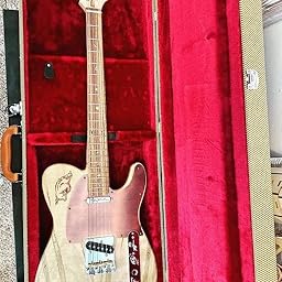 Amazon.com: Fishman Fluence Greg Koch Gristle-Tone Signature Tele