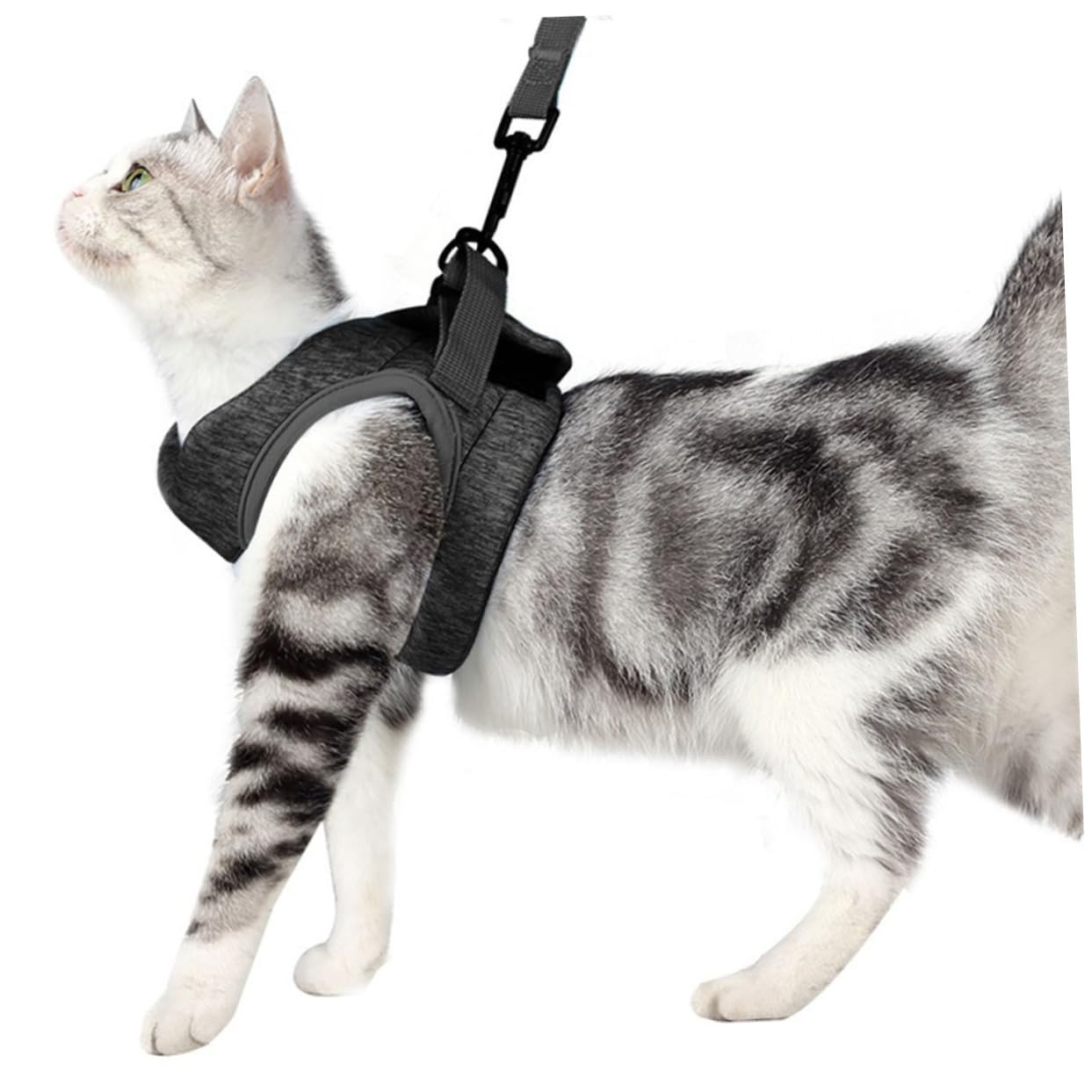 Totority Comfortable Cat Harness Breathable Cat Vest Harness Chest Strap Fashion Design Grey Size s