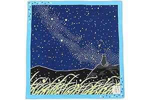 Furoshiki- Japanese Wrapping Cloth (Traveling-cat : The Milky Way)