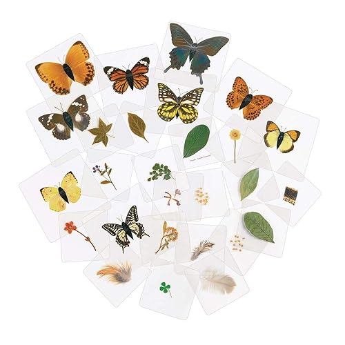 Miniatura 6 de Excellerations Juego de 28 especímenes laminados educativos para estudio de naturaleza STEM (artículo # estudio)