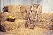 Kate 7x5 ft Yellow Fall Photography Backdrops Haystack for Halloween Background Photo Booth Props