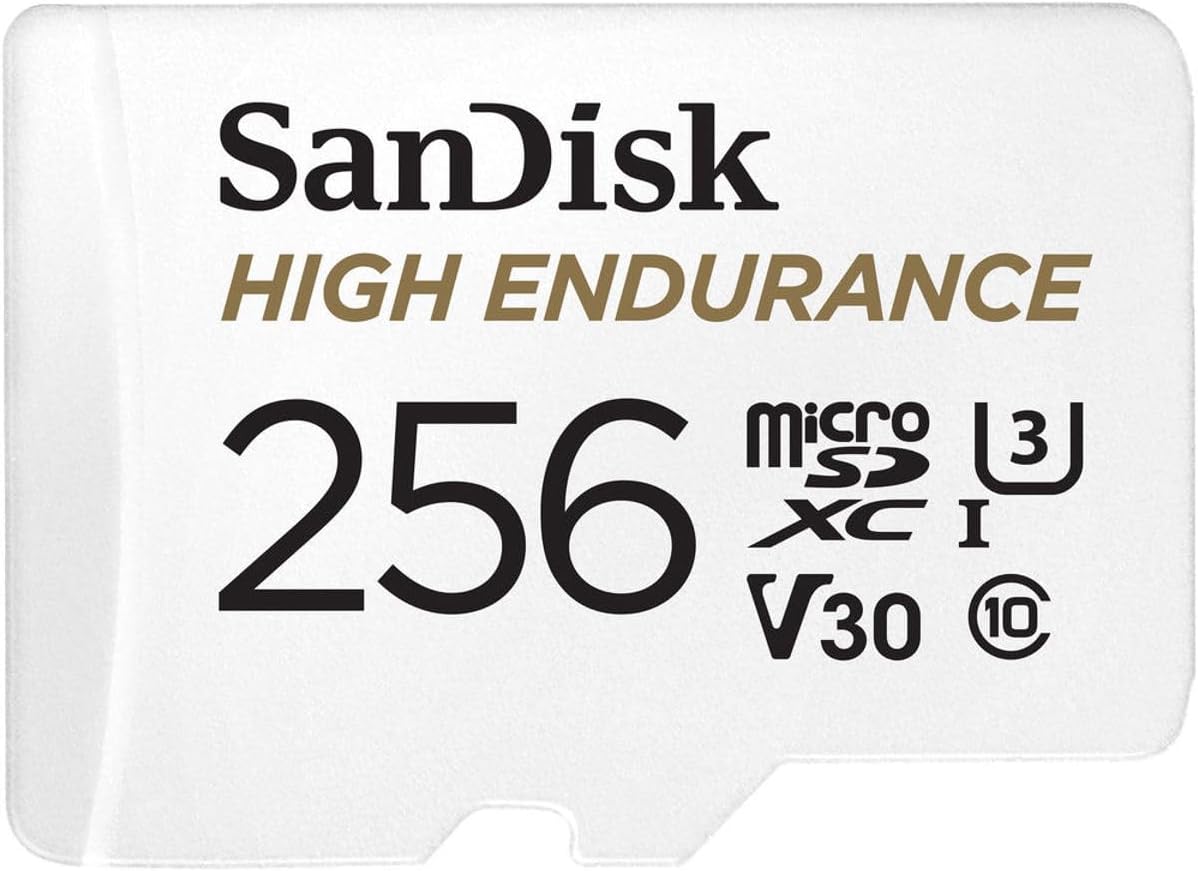 SanDisk High Endurance 256 GB microSD