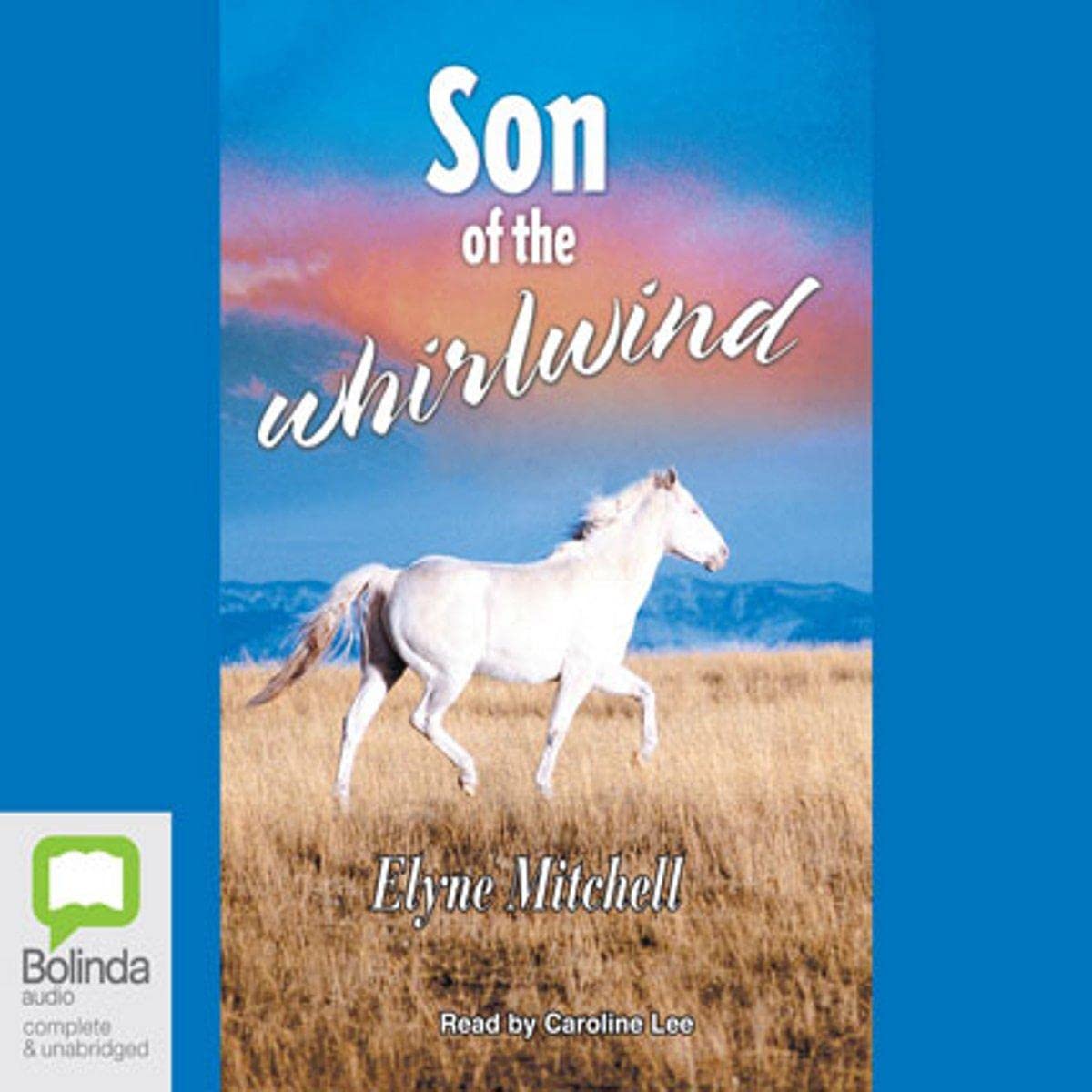Cover art for Son of the Whirlwind