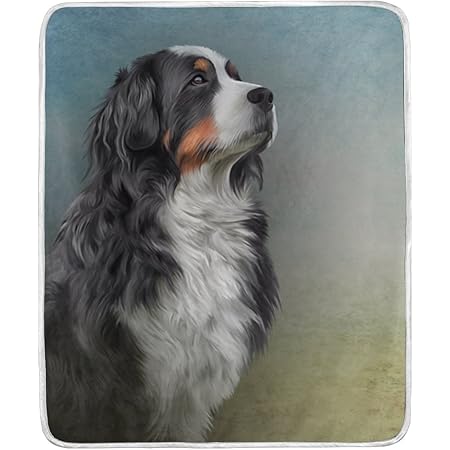 bernese mountain dog throw blanket