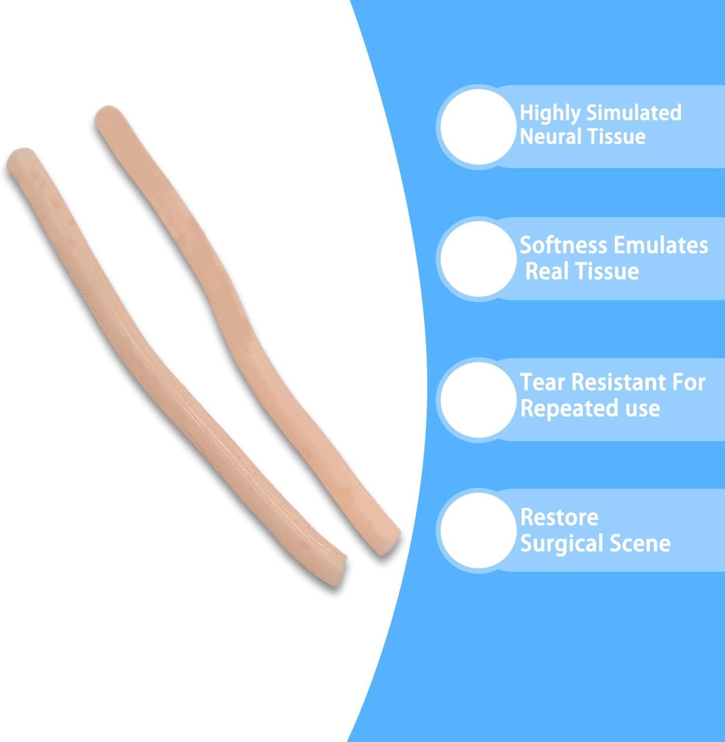 Nerve Anastomosis Practice Model, Realistic Surgical Training Tool for Microsurgery and Nerve Repair, Ideal for Medical Students and Surgeons, Durable and Reusable Design.