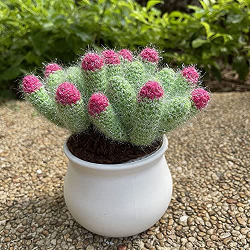 Crochet Caterpillar Cactus Crocheted Artificial...