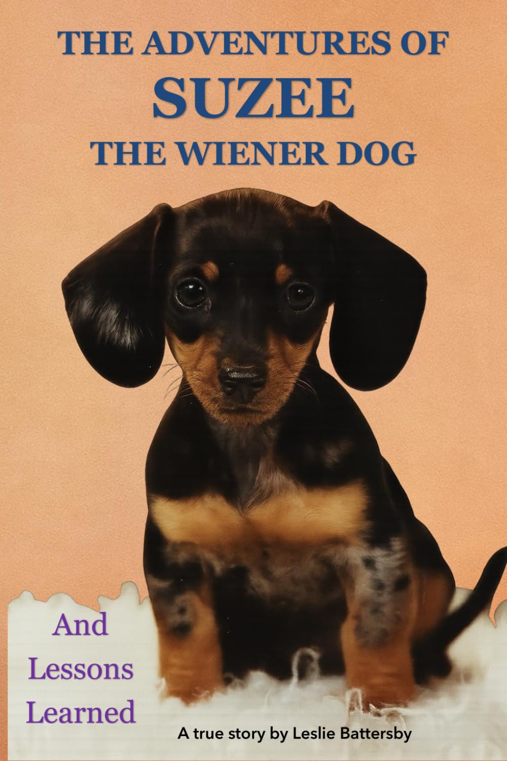 The adventures of Suzee the wiener dog and lessons learned