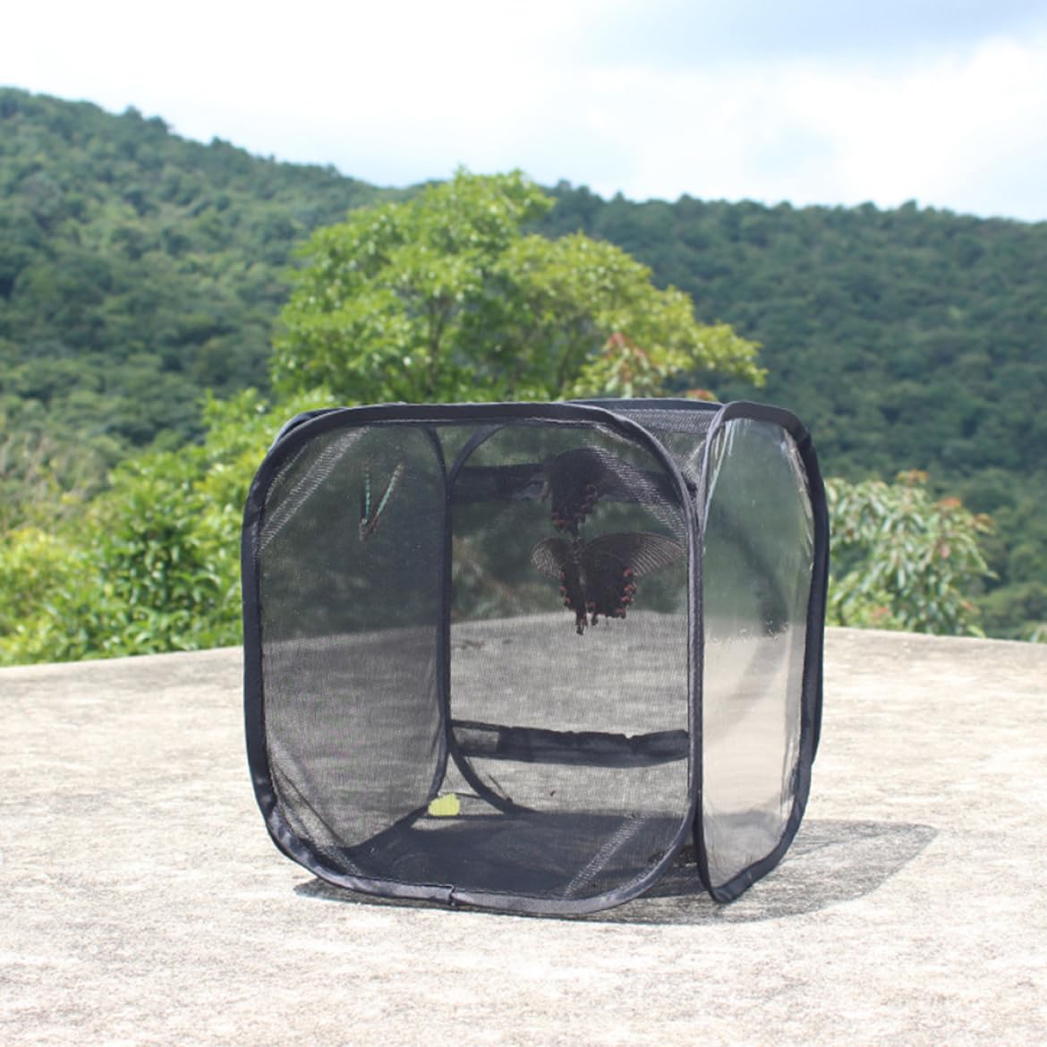 Insektenkäfig, Schmetterlingskäfig, 40, 6 x 40, 6 x 61 cm, zusammenklappbares transparentes Schmetterlingshaus mit Reißverschluss und Griff für die Aufzucht von Schmetterlingen