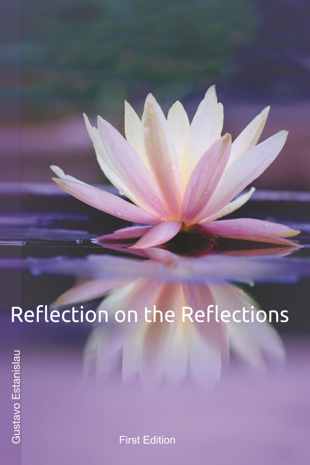 Reflection of Reflections