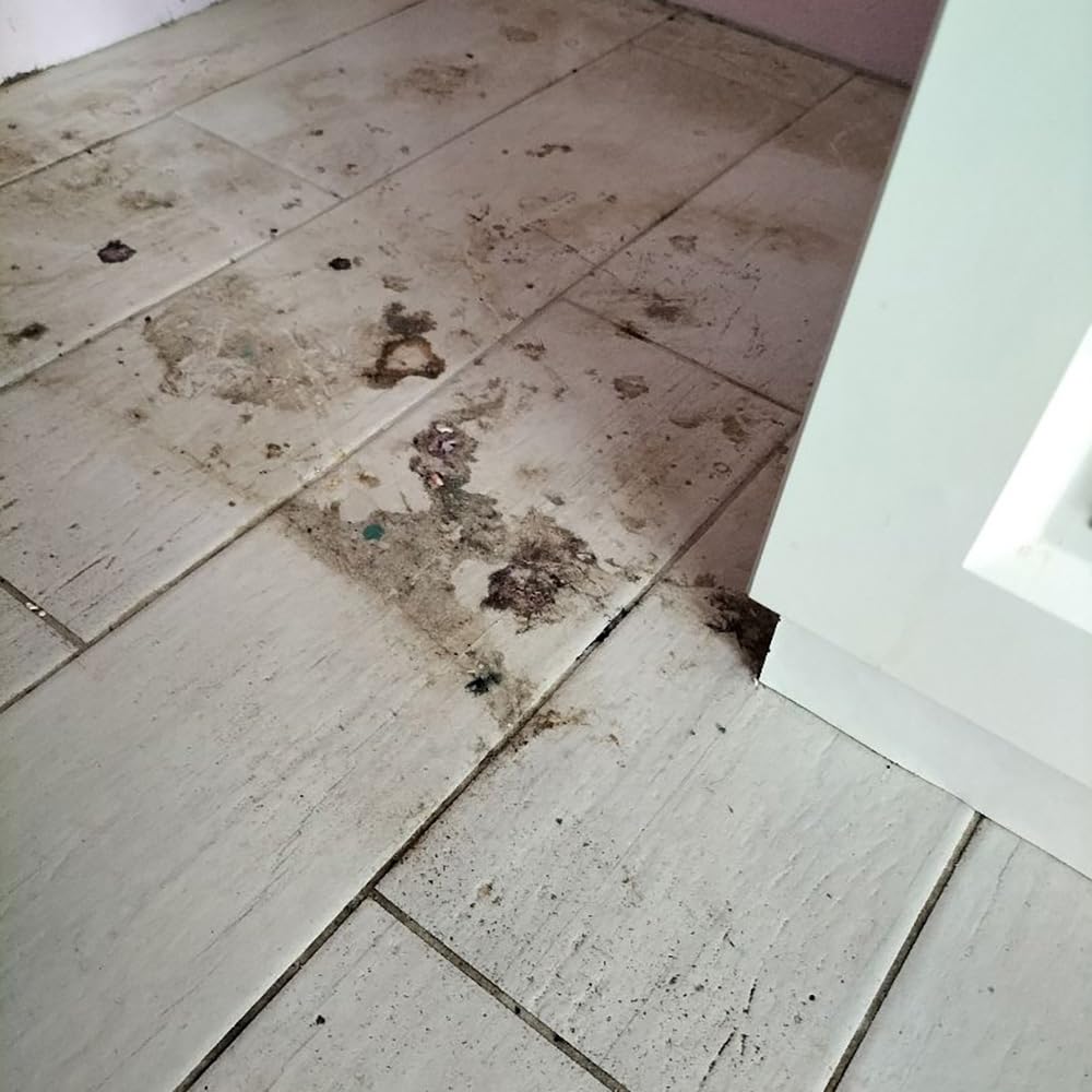 Środek czyszczący do kabin prysznicowych i Płyn do podłóg | NANOBAUER Shower Cleaner 750 ml i Floor Cleaner 750 ml | Środek do usuwania kamienia Płyn do czyszczenia podłóg