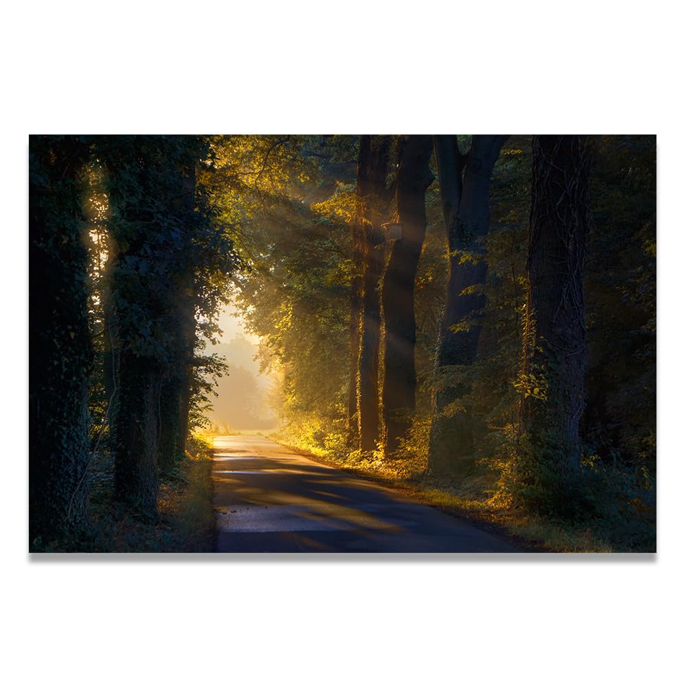 VHdfgTY Light In The DarknessLarge Mountain Landscape Canvas Wall Art Nature Scenery for Home Decor 70x105cm Unframed