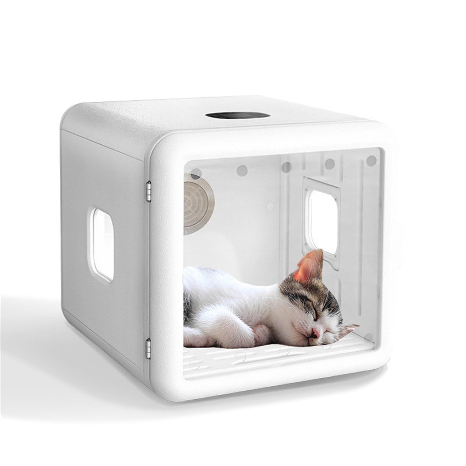 Asciugacapelli automatico per gatti e cani di piccola taglia, asciugacapelli per animali domestici ultra silenzioso e veloce, controllo temperatura/tempo/velocità del vento,
