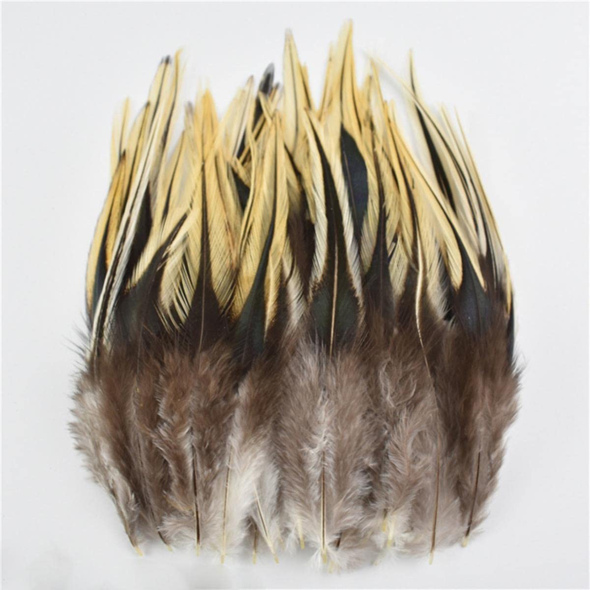Plumes de faisan oie pintade poulet pour artisanat | Lot de 500 pièces