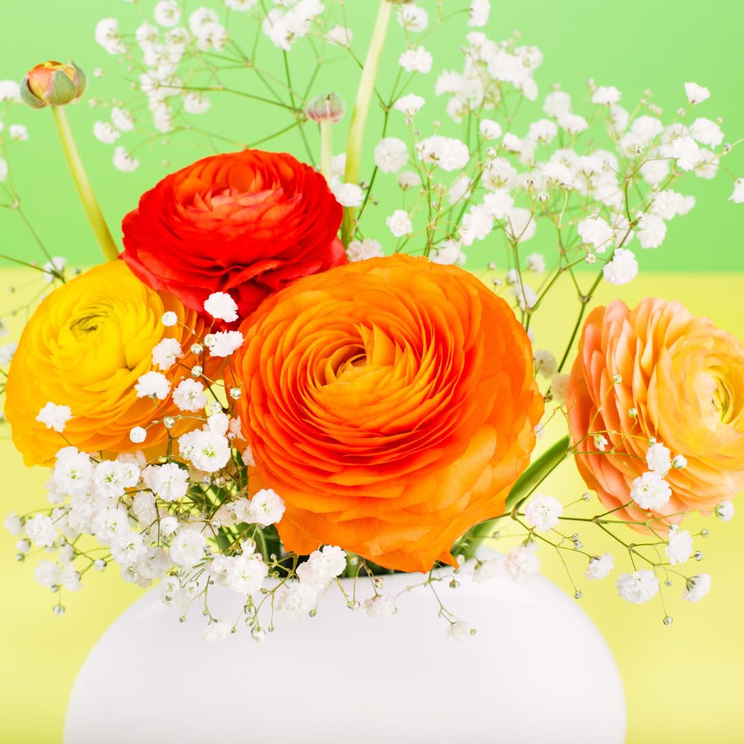 AVERAR Orange Ranunculus
