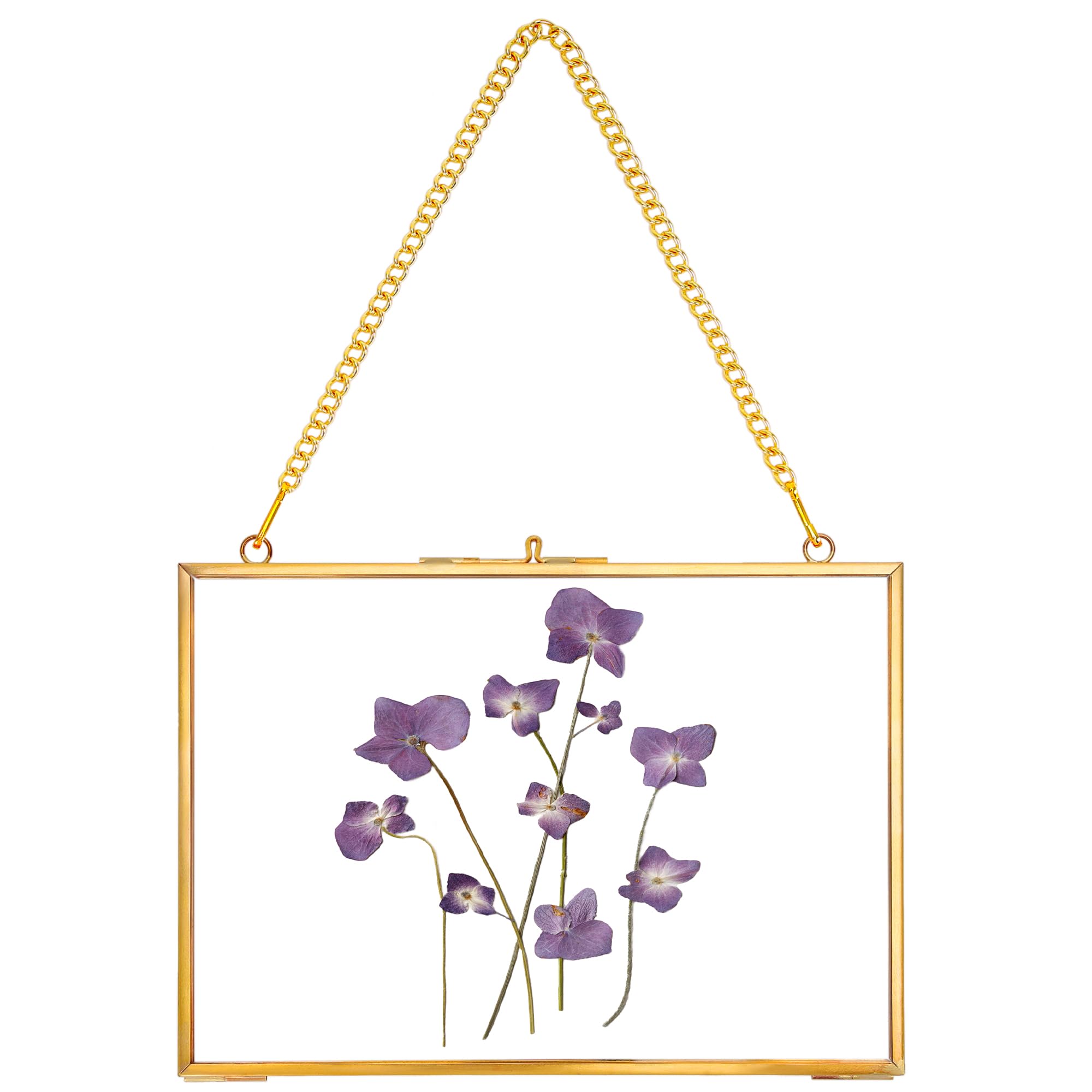 Hanging Pressed Flower Frame Handmade, Double Glass Picture Frame Floater frame Floating Frame for Pressed Flowers Home Wall Artwork, Rectangle Horizontal 5×7 inches, Gold (FRAME ONLY)
