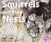 Squirrels and Their Nests (Animal Homes)