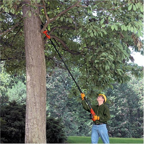 Black & Decker NPP2018 18-Volt Cordless Electric Pole Chain Saw (Older Model)