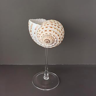 DOCLY&WOPL Handmade Seashell Wine Glasses Conch Cup Martini Glasses Cocktail Party Beach Wedding Bridesmaids Gifts (Conch)