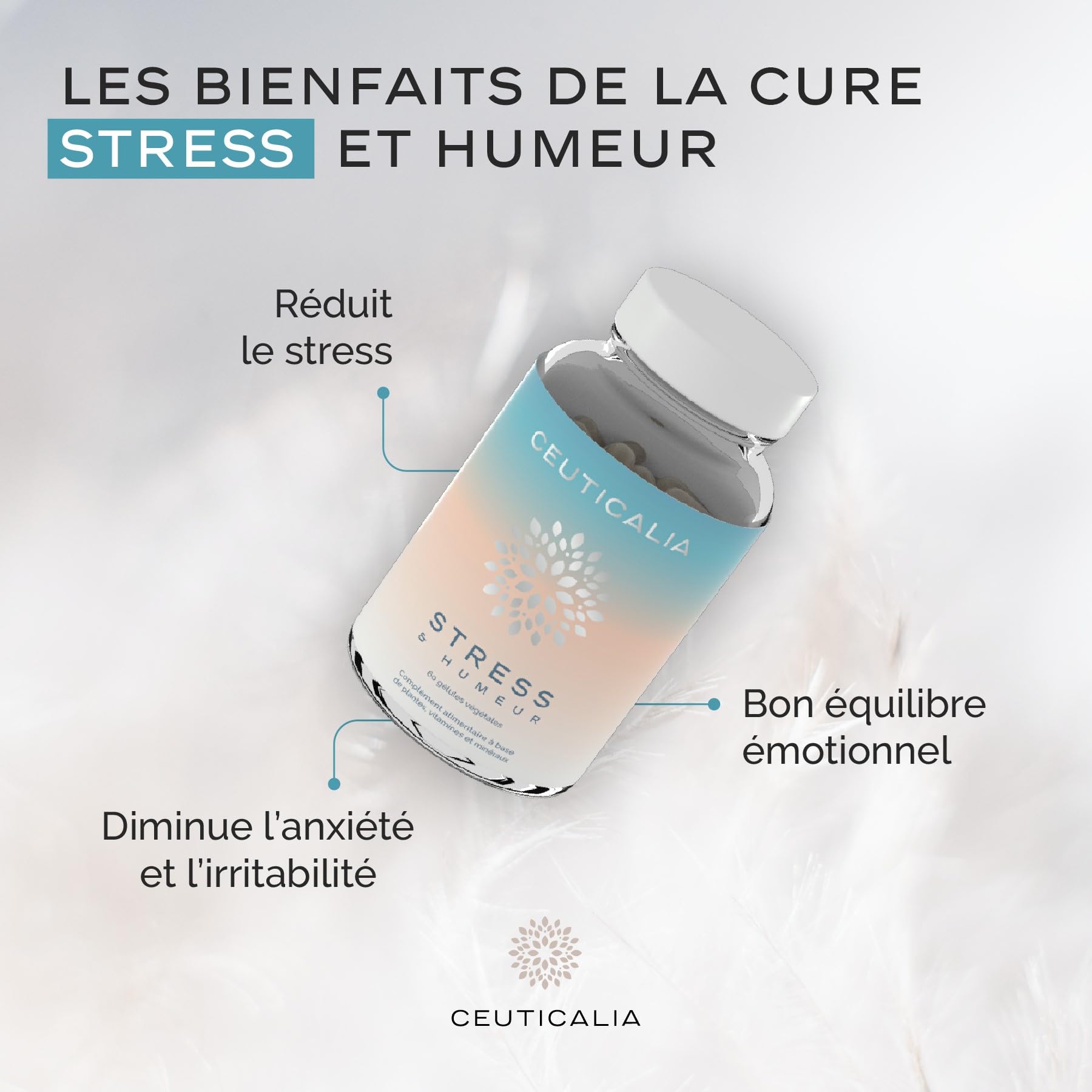 Complément Alimentaire Stress et Humeur - Anti Stress et Anxiété, Favorise Bien Etre et Relaxation - Pour Adulte - Magnésium, Vitamine B6, Safran, Rhodiola, Aubépine - 180 Gélules, 90 Jours