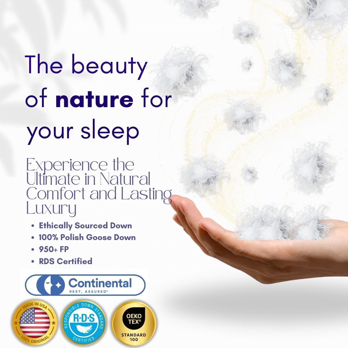 Continental Bedding Luxury Down, 100% Polish Goose Down Pillow, White, Queen