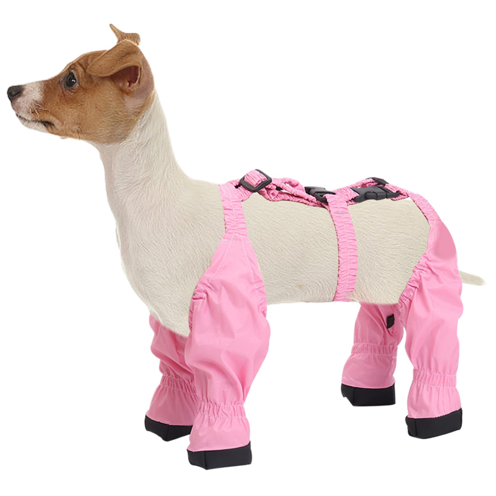 Leggings imperméables pour chien : profitez des balades sous la pluie en toute sérénité