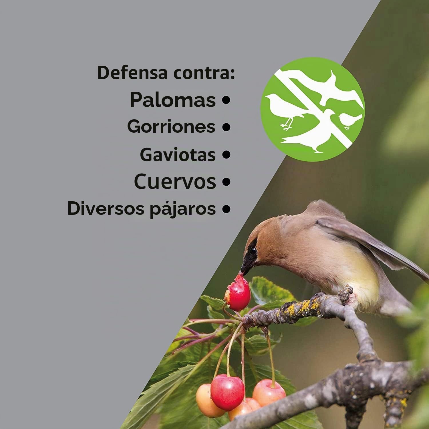 ISOTRONIC Repelente Solar para Aves con acción 4 en 1: Movimiento, ultrasonido, luz Azul y reflectores Plateados. Ahuyentador de Aves y Palomas para balcón y jardín (4 Unidades).