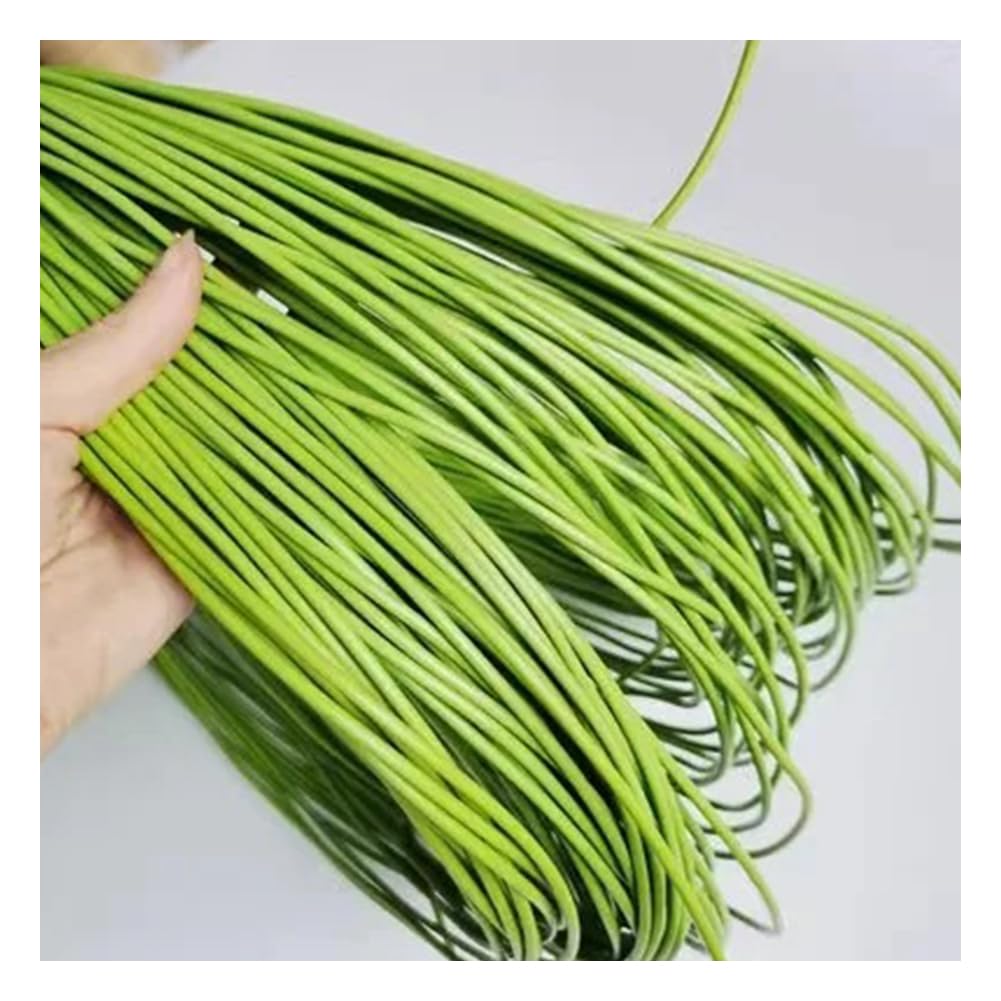 500G mobili Rotondi PE Rattan, plastica Imitazione Rattan, Materia Prima Sintetica per Intreccio per Tavolo Sedia Cestino componente