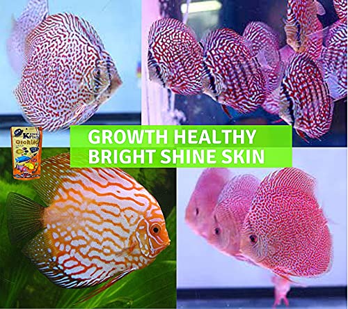 Cichild Fish Food Floating Pellet 1.5 Mm, 100 G. High Protein 42% Tropical Fish Feed Astaxanthin Color Enhancing Nutritious For Growth Fast, Rich Vitamins Mineral Bright & Shine Skin, Discus Fish Food #TOP4