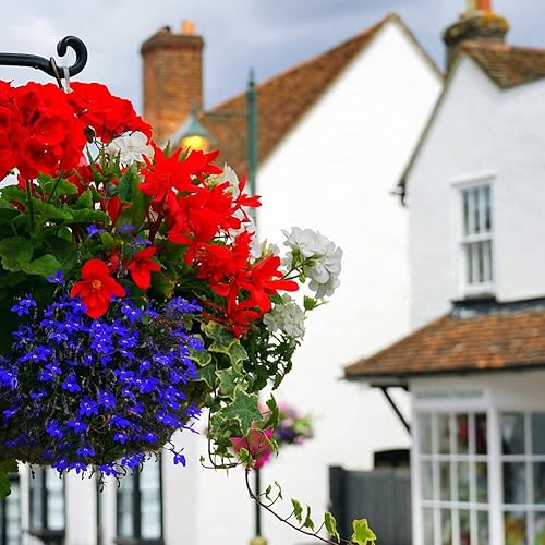 Miniatura 7 de 2 piezas de forros de cesta colgante de coco, forro de coco de 8 pulgadas de redonda de fibra de coco para plantas, reemplazo para cesta colgante,