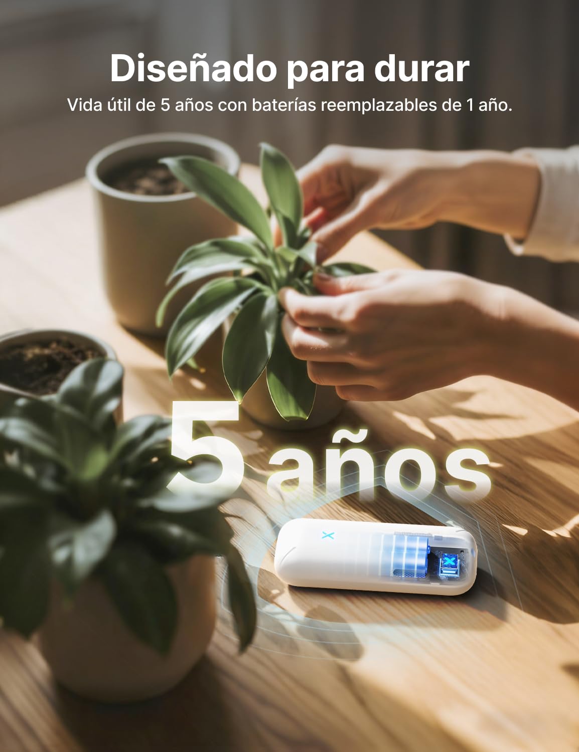 X-Sense Termómetro Higrómetro WiFi Interior, Monitor Inteligente de Temperatura y Humedad con Alertas App (Se Necesita una Estación Base SBS50), Exportación de Datos Gratuita, STH0B, 3 Unidades