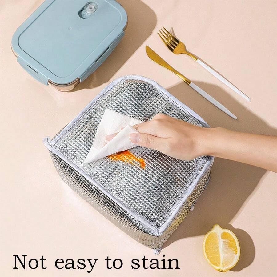 Image of NFI essentials Insulated Lunch Bag for Men Women Large Tiffin Carry Bag Travel Lunch Box Organizer for Office, School, College, Leak-Proof Lunch Cooler Bag (Grey)