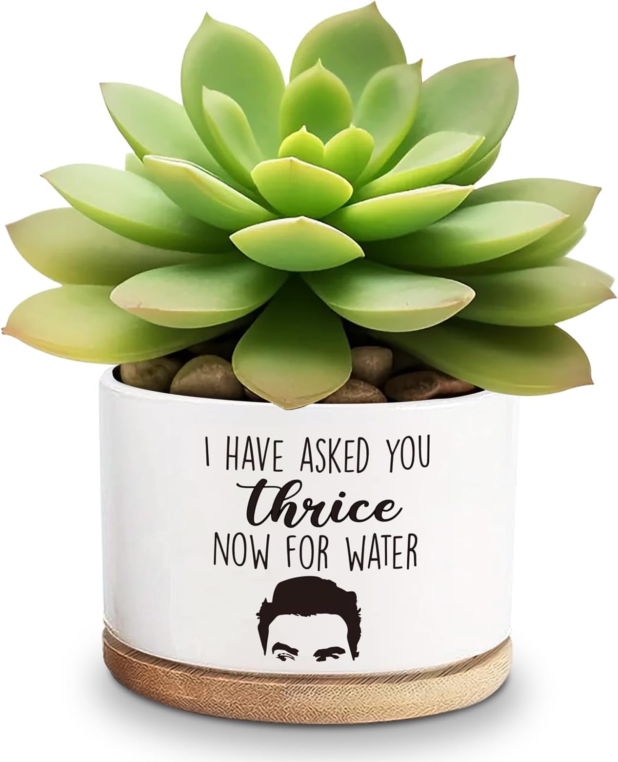 Lasimfa I Have Asked You Thrice Now for Water Ceramic Succulent Planter Cactus Pots, Funny Planter Pots Gifts for Plant Lovers Birthday Christmas, 3.6 Inch (Plant Not Included)