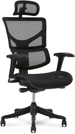 X Chair X1 Task Chair Black Flex Mesh With Headrest Amazon Ca Home