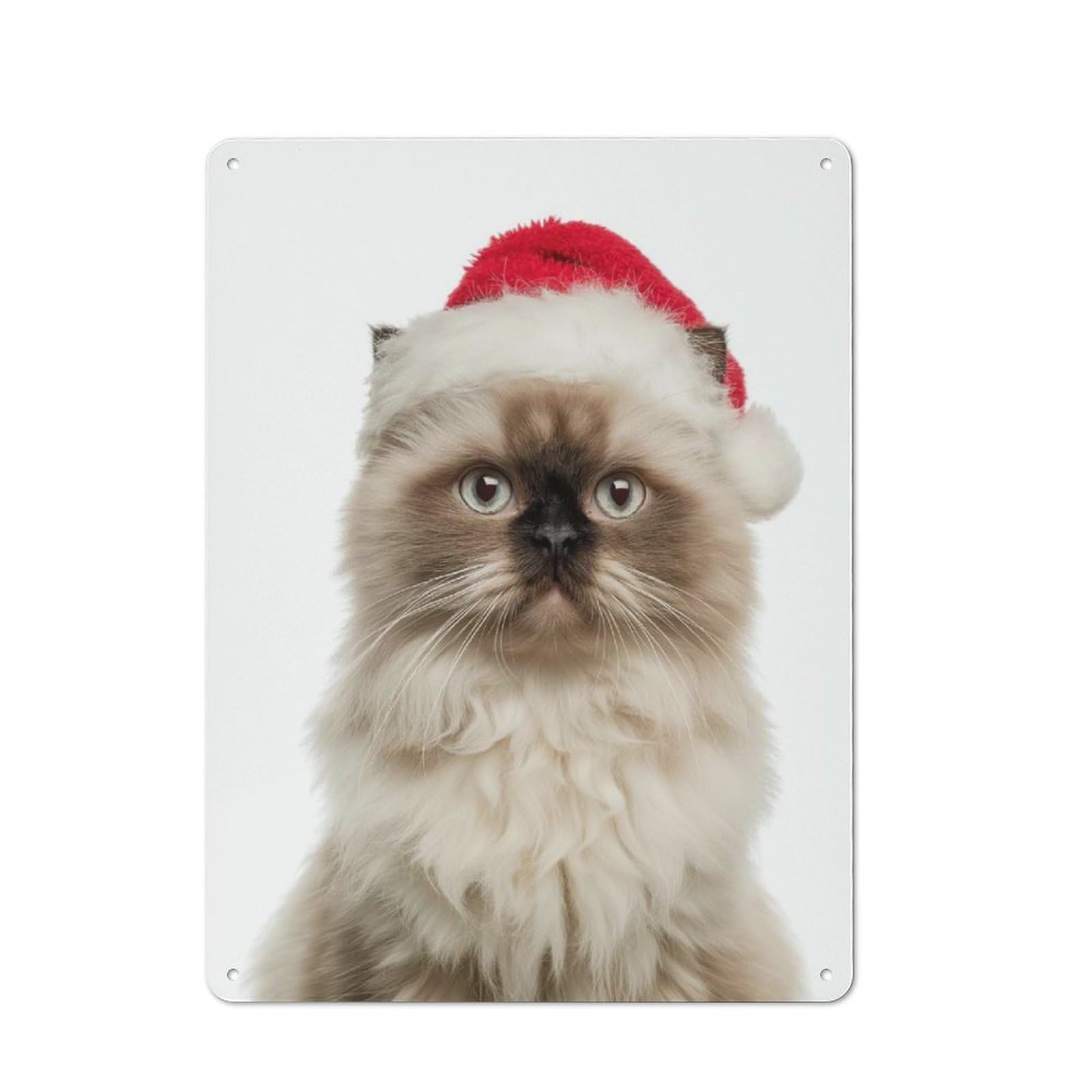 Junmoney Himalayan Cat With Santa Hat Portrait Metal Wall Plaque 40X30cm, Simple Retro Office Wall Decor For Office, Study, Studio Or Hallway