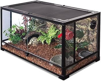 Amazon | 爬虫類用ガラスケージ グラステラリウム 通気性 両生類 Amazon | 爬虫類用ガラスケージ グラステラリウム 通気性 両生類