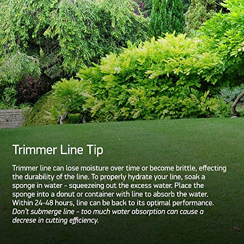 Oregon 21-280 Gatorline Round Trimmer Line .08-Inch By 206-Foot Weed Wacker String, Green #TOP4