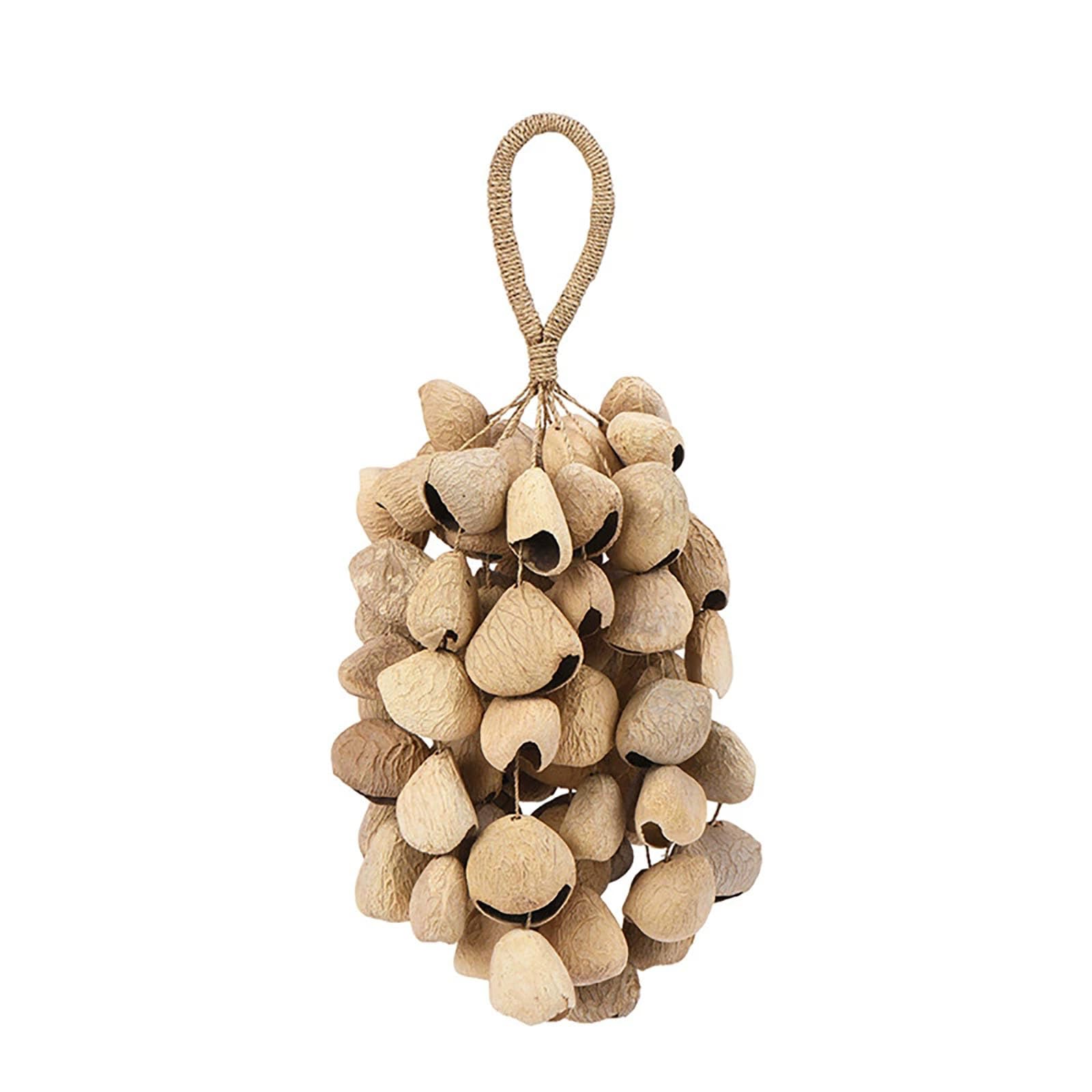 ‌Handmade Pangi Fruit Hand Bells & Wind Chimes - Natural Seed Bell Organic Musical Instrument for Sound Healing, Meditation & Performance‌