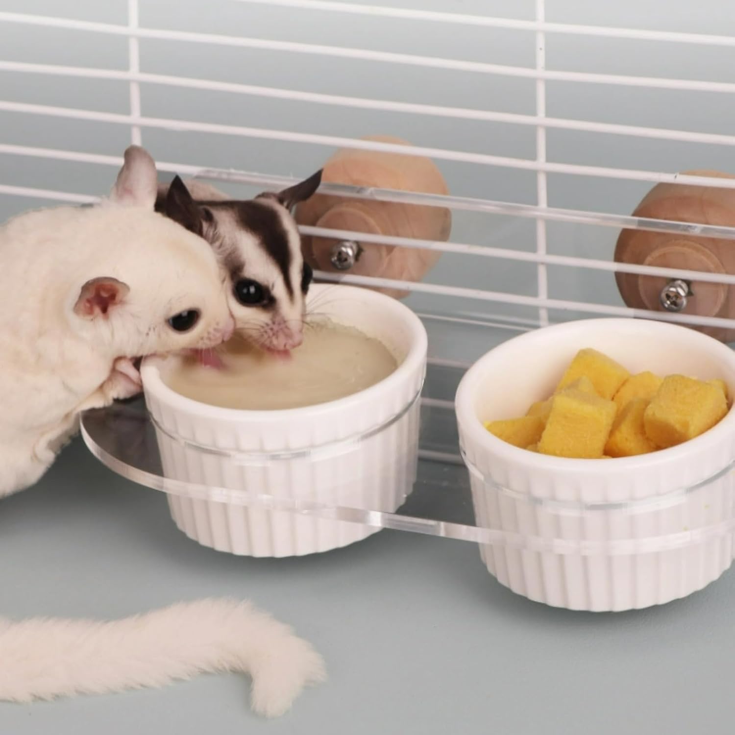 Sugar Glider Feeder Hanging Ceramic Bowl with Acrylic Stand Space-Saving Design for Small Pet (Two Bowls Large)