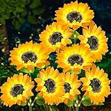 BesLowe 3 Packs 9 Sunflowers Solar Lights Outdoor Waterproof, Solar Garden Lights Garden Decor, Solar-Powered Flower Light Decorative for Patio Yard Flowerbed Backyard Decorations