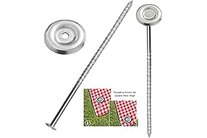 10 Count Outdoor RV Rug Stakes: Camper's Must-Have RV Accessories