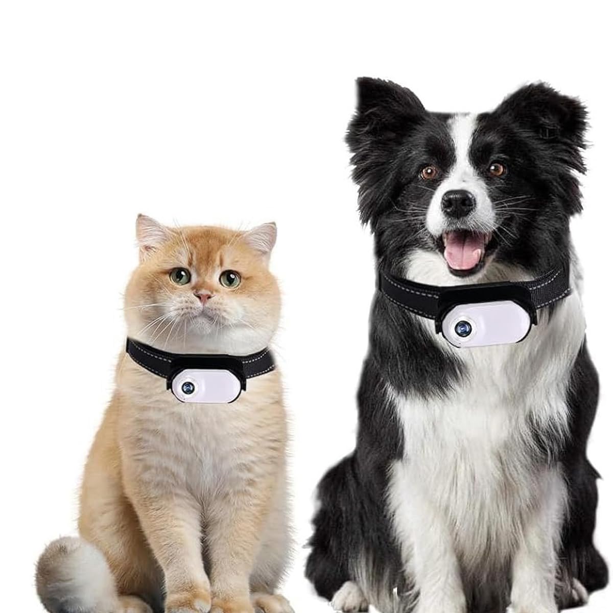 Cámara de acción con collar para gatos y perros, sin necesidad de wifi, para uso en interiores y exteriores, color blanco