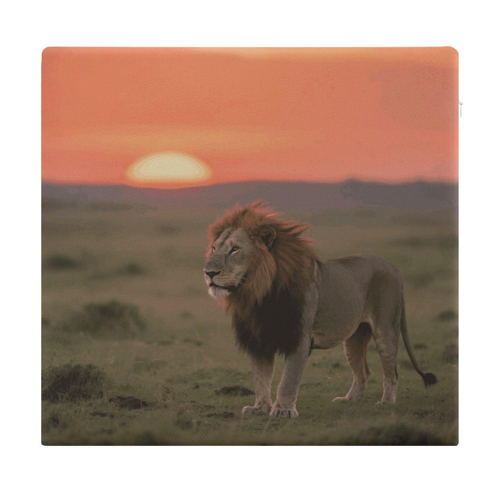 VstaDank Lion on African Savannah Cushions Memory Dining Chairs Cushion Non Slip Car Seat Cushions Indoo Dining Room Square Chair Pads with Zipper and Removable Cover Cushion