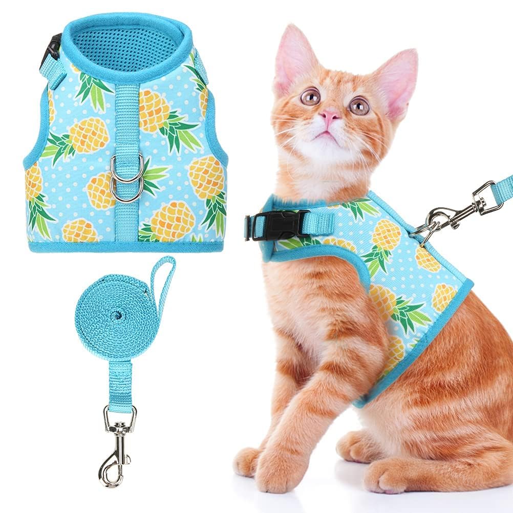 BINGPET Cat Harness Mesh Dog Walking Harness with Adjustable Leash  Pineapple